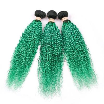 China #T1B/Green Kinky Curly Remy Bündels de cabello humano Cosido en tejido Bündels Brasileño Bündel ofertas en venta
