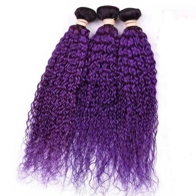 China #T1B/Purple Kinky Curly Remy Banderas de cabello humano Coser en tejido Banderas de paquetes brasileñas en venta