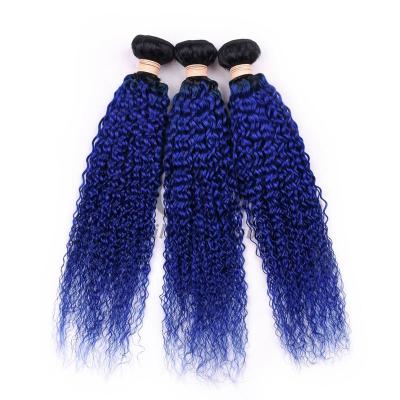 China #T1B/Blu Kinky Curly Remy Hacienda de Cabello Humano Cosida en Tejido Hacienda Brasileña Hacienda de Hacienda en venta