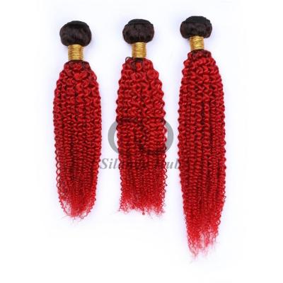 China #T1B/Red Kinky Curly Remy Hacienda de Cabello Humano Cosida en Tejido Hacienda Brasileña Hacienda de Hacienda en venta