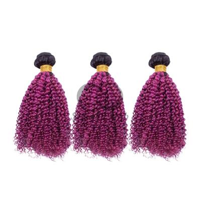 China #T1B/Purple Kinky Curly Remy Human Hair Bundles Sew In Weave Bundles Brazilian Bundle Deals for sale