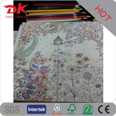 China Adults Top Selling USA Cartoon Secret Garden Bulk Coloring Book for sale