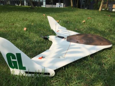 China Abejón de ala fija, tiempo de vuelo 90mins para trazar, tareas del tiempo largo, medidas en venta