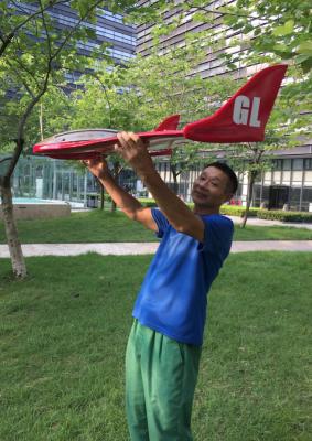 China abejón de ala fija, distancia del vuelo del tiempo de vuelo 90mins: special de los 80Km para trazar, navegación de múltiples puntos de Google Map en venta