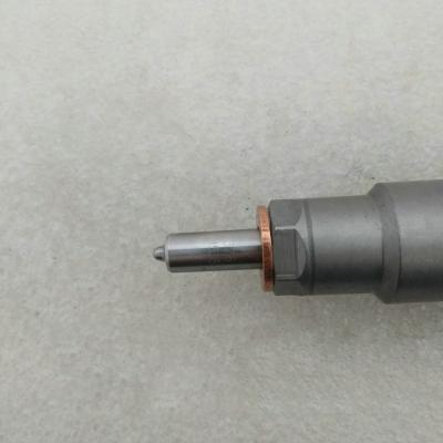 China 0445120054 Inyector Common Rail Bosch del tipo CRIN para Iveco y CASE for sale