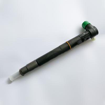 China EJBR03801D EJBR06001D R03801D R06001D Common Rail Delphi Inyector para Peugeot, Citroen. for sale