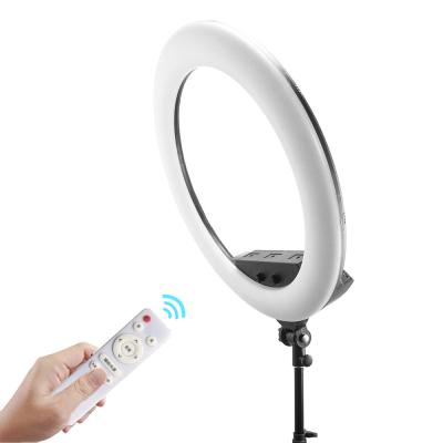 China Live Streaming 22 Inch Ring Light Led Video Fill Lamp With Tripod Stand 5500k for sale