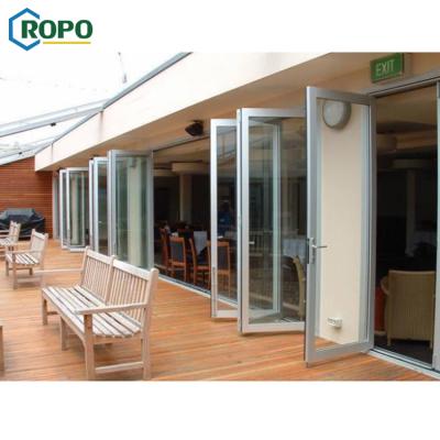 China Nzs4211 High Quality Waterproof Horizontal Patio Double Glass Folding Aluminum Balcony Door Design for sale