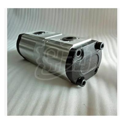 China 9T3866 YBD PARTS B210166 Double Speed Pump23+19cc 0510715343 for sale