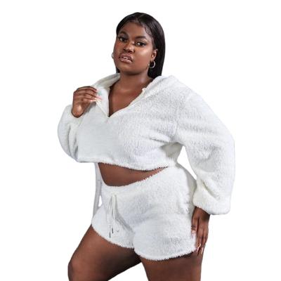 China Hot Selling Casual Long Sleeve Zipper White Plus Size Cropped Hoodie For Women for sale