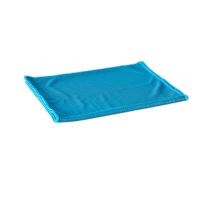 China QUICK DRY Dry Fit Towel Portable Sports Towel Microfiber With Mesh Bag Sports Quick Dry Customized Towel for sale