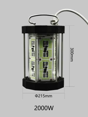 China Leistungsstarke 2000W Beste LED-Fischlicht für Tiefsee, wasserdichte Fischerleuchte für Boote zu verkaufen