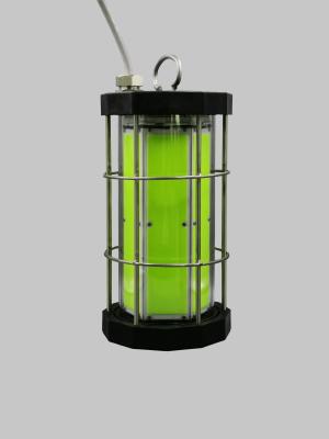 China 3000W COB LED Fishing Lights , Florida Deep Sea Fishing Lights Waterproof For Fishing Boats for sale