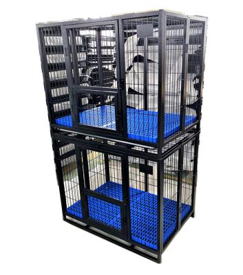 China Black Breathable Classic Iron Dog Crate Double Door Crate With Large Tray Double Door Cage for sale