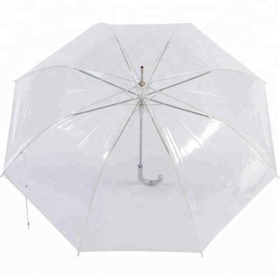China Contemporary Clear Umbrella With Look Trough Plastic To Buy In China for sale
