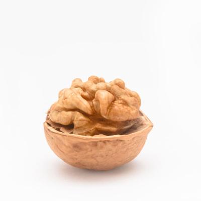 China Pure Natural Nutrition 86%fat 100%organic Walnut Kernel Dried Rich for sale