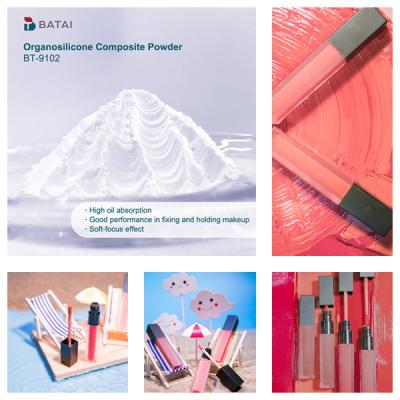 China Vinyl Dimethicone/Methicone Silsesquioxane Crosspolymer BT-9102 Organosilicone Composite Powder Solid (White powder) 8.0 ~ 12.0μm for Cosmetics for sale