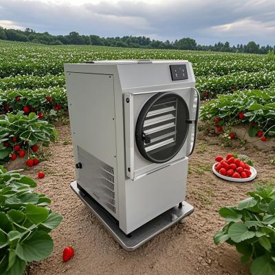 China Small Vacuum Home Freeze Dryer Machine Food 10KG Air Cooling for sale