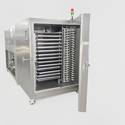 China Food Industry Freeze Dryer 500kg Commercial Grade Dehydrator For Fruits Vegetables for sale