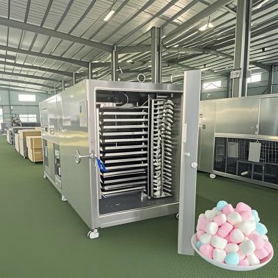 China Commercial Scale Lyophilizer 50KG Industrial Freeze Drying System For Dairy Candy Products for sale