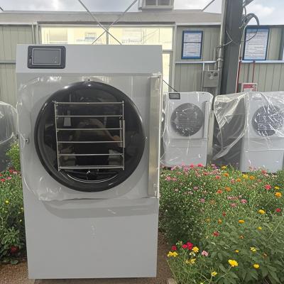 China Advanced Compact Technology 20kg Small Home Freeze Dryer Freshness Energy Efficient Mini Daily Use for sale