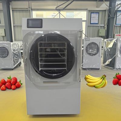 China Innovative Small Home Food Freeze Dryer With Touchscreen Control All In One Mini Kit for sale