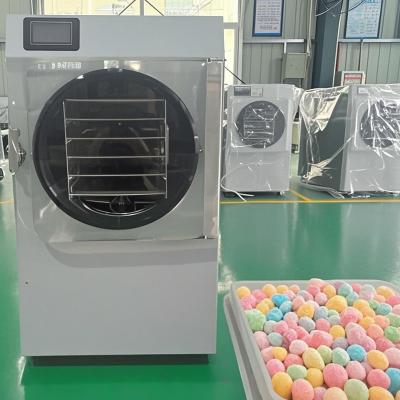 China 6KG 10KG 20KG Quick Dry Small Freeze Dryer for Instant Food Preservation Space Saving for sale