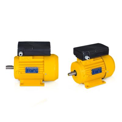 China IP23 75db 0.75KW 220V 50HZ 2800rpm Insulation Single Phase Electric Motor Totally Enclosed Asynchronous Sale for sale