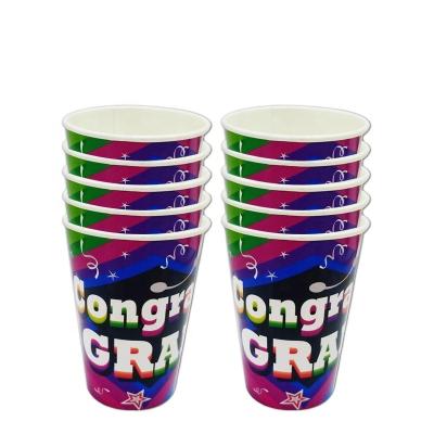 China Wonderful House Party Supplies Paper Cups Serving Spoon Material Eco-friendly Straw Party OEM PVC Wholesale Tableware Sets Holder for sale