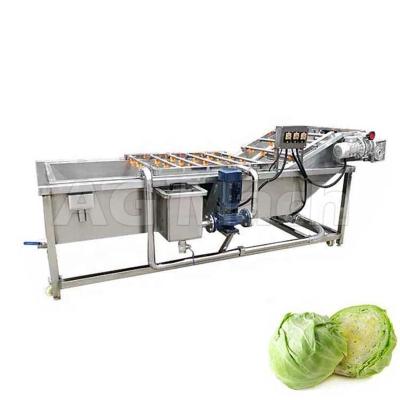China fruit & Vegetable High Speed Apple And Pear Bubble Machine Pineapple Flat Brush Peeling Cleaning Plant for sale