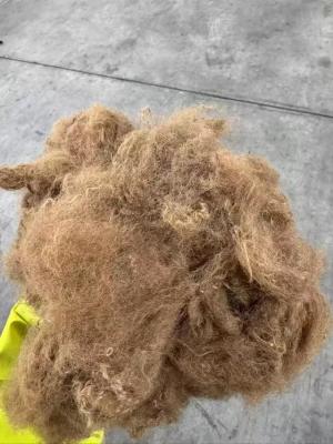 China Polyester Staple Fiber 0.7D×32mm High Shrinkage Resistance Fire Redardant For Construction Materials And Industrial for sale