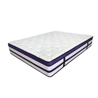 China Other King Queen Custom Size Four Star Hotel Pillow Plush Pocket Bedspring for sale