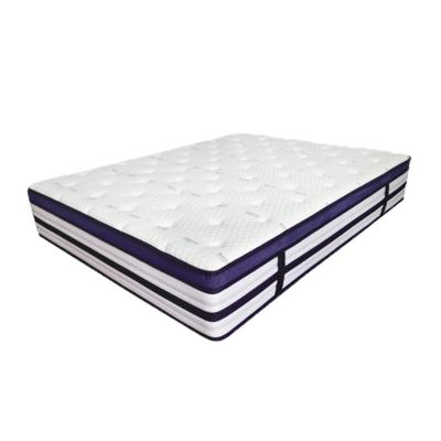 China Other Factory Price Super Plush Mattress Compressed Pocket Coil Spring