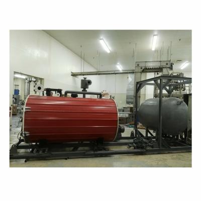 China 20 ton horizontal natural gas oil fired thermal liquid heat transfer hot oil boiler for sale