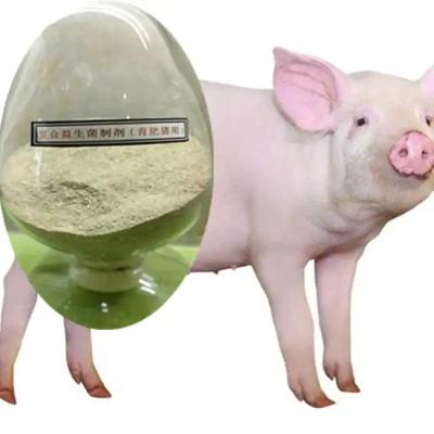 China Probiotische toevoegingsmiddelen voor pluimvee Te koop