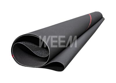 Китай SIC Polyester Cloth Sanding Belt / Silicon Carbide Segmented Belt For Panel, 1128, 1950x2800 мм. Ссылка: http://www.siliconcarbide.ru/ продается