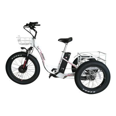 China Delivery aluminum electric bicycle 3 wheel 48V 500W trike cargo trike electric tricycle for sale for sale