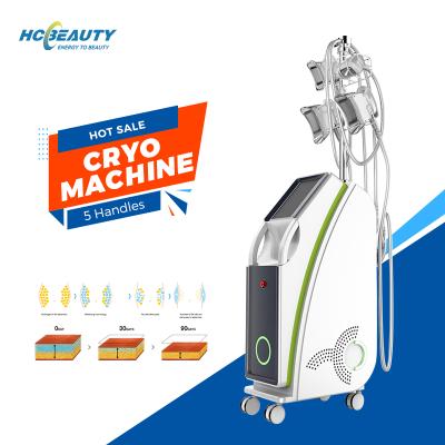 China ETG50-6S weight loss fat new style buy cryolipolysis freezing machine for diet for sale