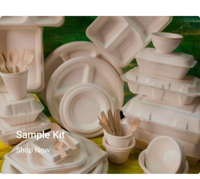 China Recyclable Pulp Plate Making Machine 30kw For Disposable Bowl for sale