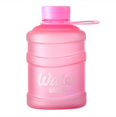 China Sustainable Cheap Gallon 650ML Bottle Shape Frosted Plastic Water Bottles for sale