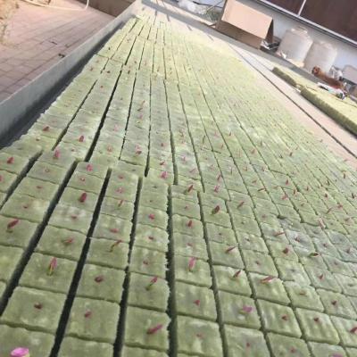 China Good High Quality Hydroponic Water Absorption Manufacturer Rockwool/Aquaculture Hdyroponic Growing Media Rockwool for sale
