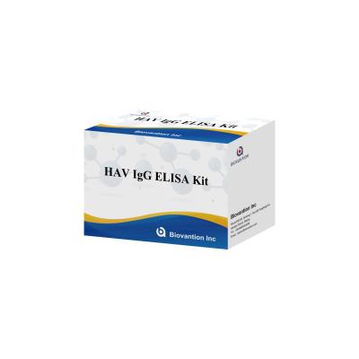 중국 높은 감수성 HAV IgG ELISA 키트 정확한 A형 간염 바이러스 검출 신뢰할 수 있는 CE 인증 임상 및 연구용 판매용