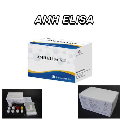 China IVD test Anti-Mullerian Hormone AMH Elisa for human detect with 96 test for sale