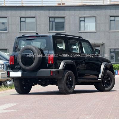 China Tank 300 2.0t 227HP 8at SUV Popular Petrol High Speed Car with No. 92 Fuel Label for sale