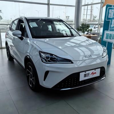 China Affordable 501-800W Neta Aya Mini Pure Electric Family Car with Closed Body Type for sale