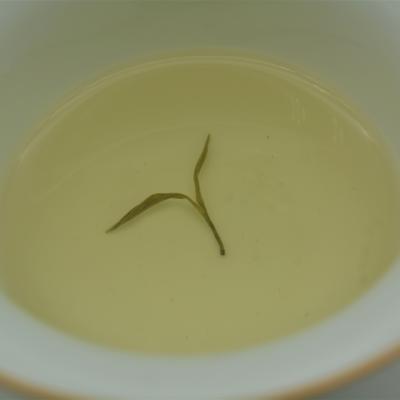 China High Quality Promotional Twisted Slimming Organic Green Tea Weight Loss Slimming Factory Natural Organic Green Tea Gift Box for sale