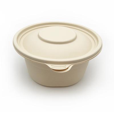 China 恭喜, 站点创建成功
.container {
width: 60%;
margin: 10% auto 0;
background-color: #f0f0f0;
padding: 2% 5%;
border-radius: 10px
}
ul {
padding-left: 20px;
}
ul li {
line-height: 2.3
}
a {
color: #20a53a
}
window.onload = function() {
document.onkeydown = function() {
for sale