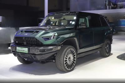 중국 2025 도롱펜 멘시 917 확장된 범주 Jiaolong Armor Extended Edition 확장된 범주 대형 SUV 판매용