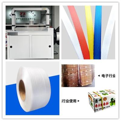 China Plastic Machinery Packaging Machinery Semi-automatic Baler Desktop Strapping Machine High Speed Baler for sale