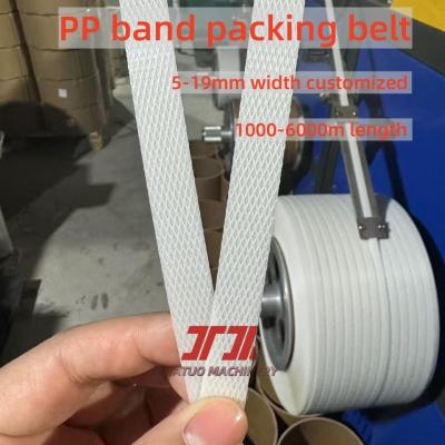 China Comércio por grosso de algodão de plástico de PP para paletes de polipropileno com tolerância de largura de 0,3 mm e boa retidão à venda